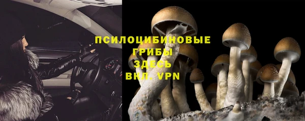 гашиш Богородск