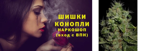 гидропоника Белокуриха