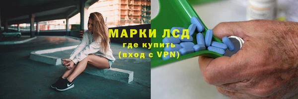 гидропоника Белокуриха