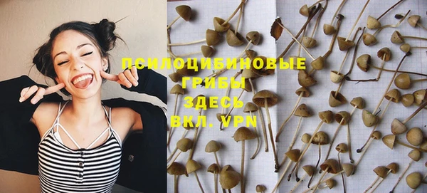 стафф Белоозёрский