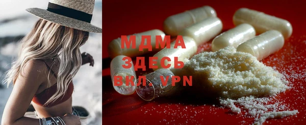 дмт Богданович