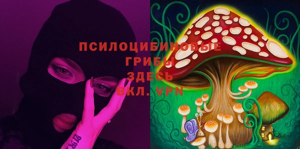 гидропоника Белокуриха