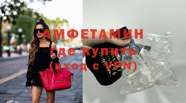 дмт Богданович