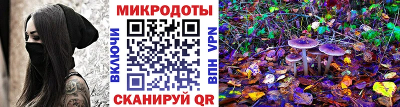 Псилоцибиновые грибы GOLDEN TEACHER  дарк нет Telegram  Козловка 